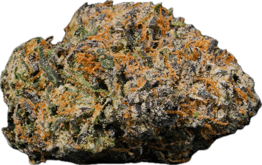 🍇 GRAPE GAS (PREMIUM TIER)