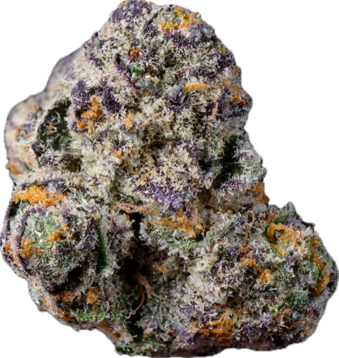 🍇 GRAPE GAS (PREMIUM TIER)