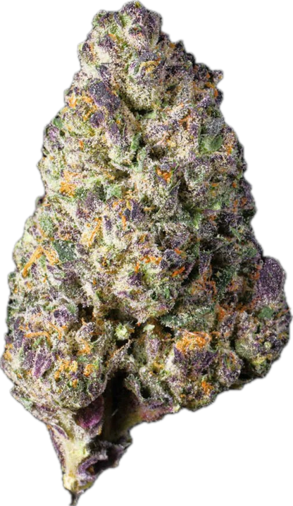 🥞 BLUE PANCAKES (PREMIUM TIER)