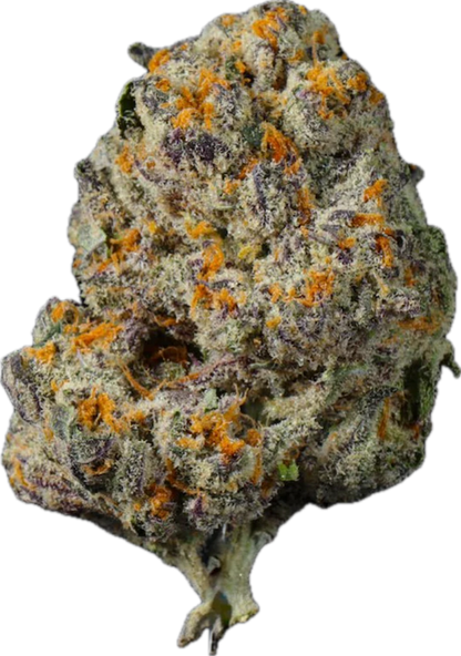 🥞 BLUE PANCAKES (PREMIUM TIER)