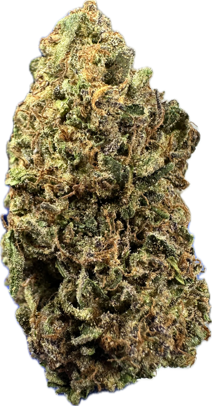 🟤 MOCHA LATTE (BUDGET TIER)