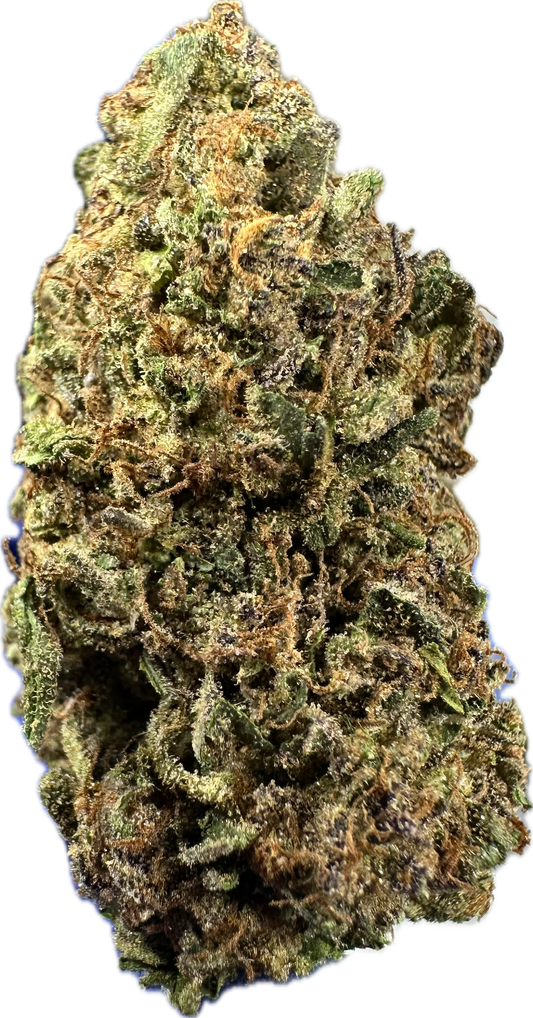 🟤 MOCHA LATTE (BUDGET TIER)