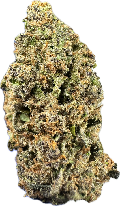 🟤 MOCHA LATTE (BUDGET TIER)