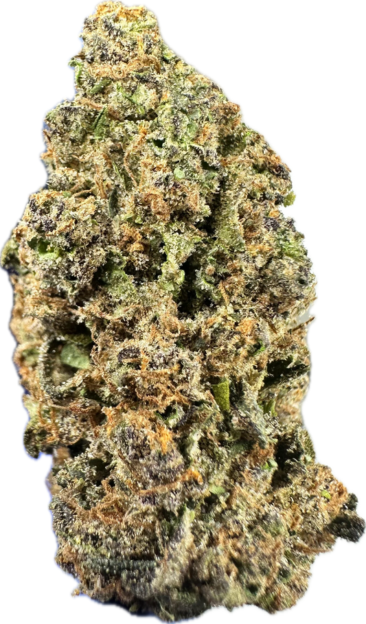 🟤 MOCHA LATTE (BUDGET TIER)